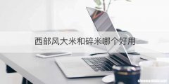 西部风大米和碎米哪个好用