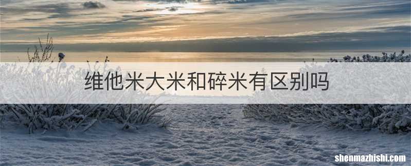 维他米大米和碎米有区别吗