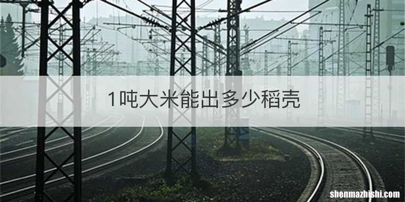 1吨大米能出多少稻壳