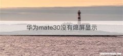 华为mate30没有熄屏显示