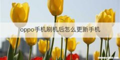oppo手机刷机后怎么更新手机