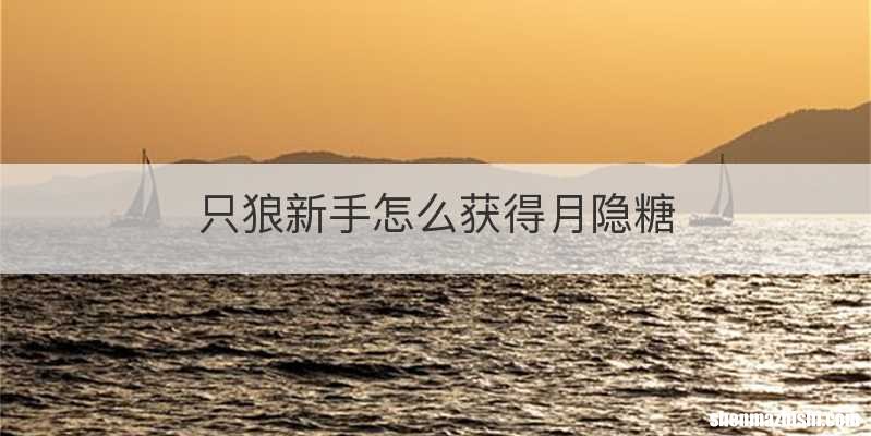 只狼新手怎么获得月隐糖