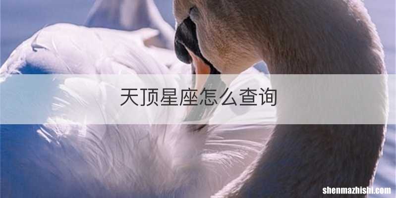 天顶星座怎么查询