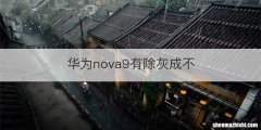 华为nova9有除灰成不