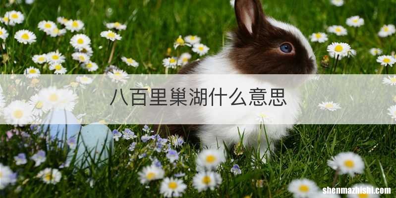 八百里巢湖什么意思