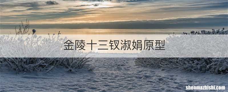 金陵十三钗淑娟原型