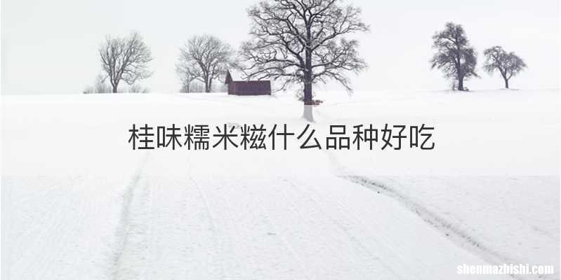 桂味糯米糍什么品种好吃