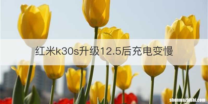 红米k30s升级12.5后充电变慢