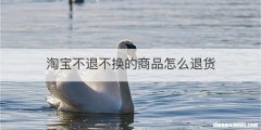 淘宝不退不换的商品怎么退货
