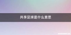 共享足球是什么意思