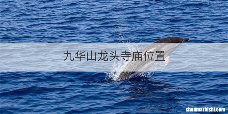 九华山龙头寺庙位置