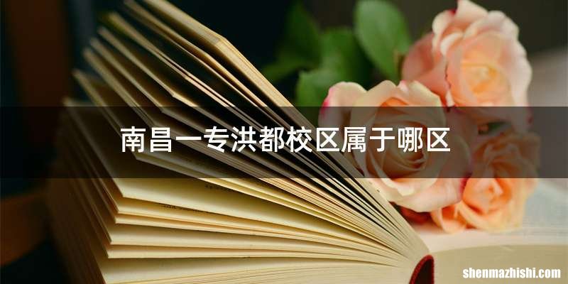 南昌一专洪都校区属于哪区