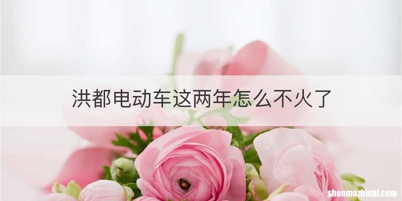 洪都电动车这两年怎么不火了