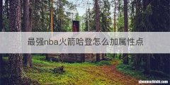 最强nba火箭哈登怎么加属性点