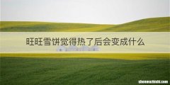 旺旺雪饼觉得热了后会变成什么
