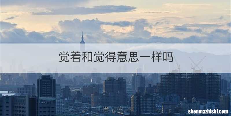 觉着和觉得意思一样吗