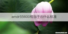 amdr55600相当于i5什么标准