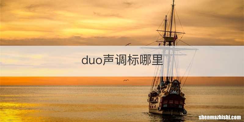 duo声调标哪里