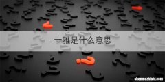 十雅是什么意思