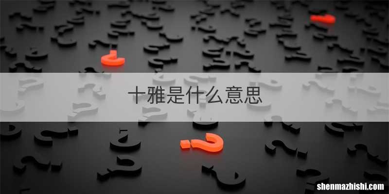 十雅是什么意思