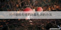 对付翻脸无情的人最有效的办法