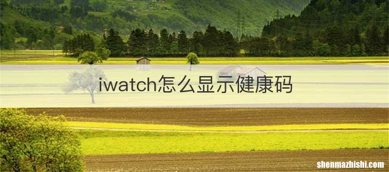 iwatch怎么显示健康码