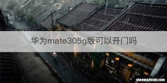 华为mate305g版可以开门吗