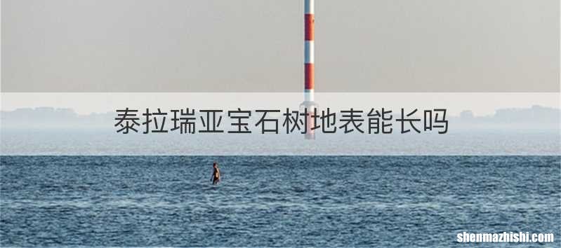 泰拉瑞亚宝石树地表能长吗