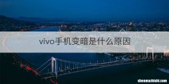 vivo手机变暗是什么原因