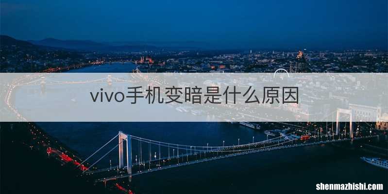vivo手机变暗是什么原因