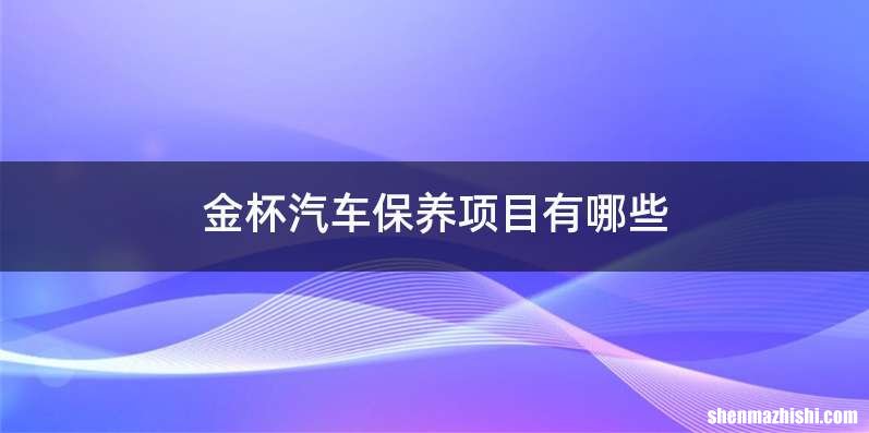 金杯汽车保养项目有哪些