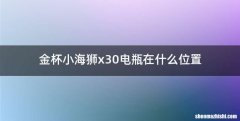 金杯小海狮x30电瓶在什么位置