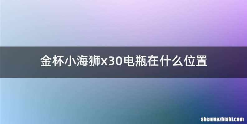 金杯小海狮x30电瓶在什么位置