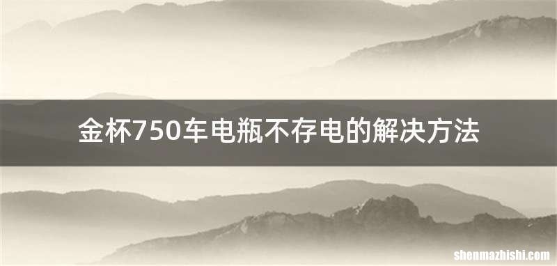 金杯750车电瓶不存电的解决方法