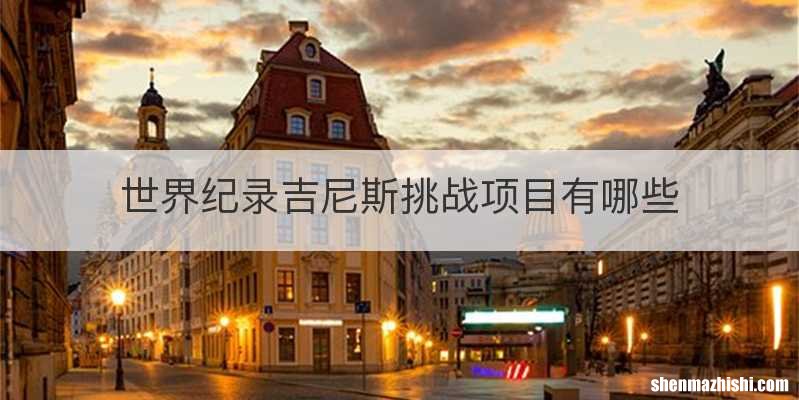 世界纪录吉尼斯挑战项目有哪些