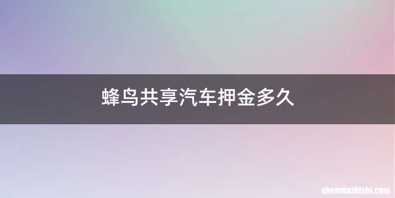 蜂鸟共享汽车押金多久