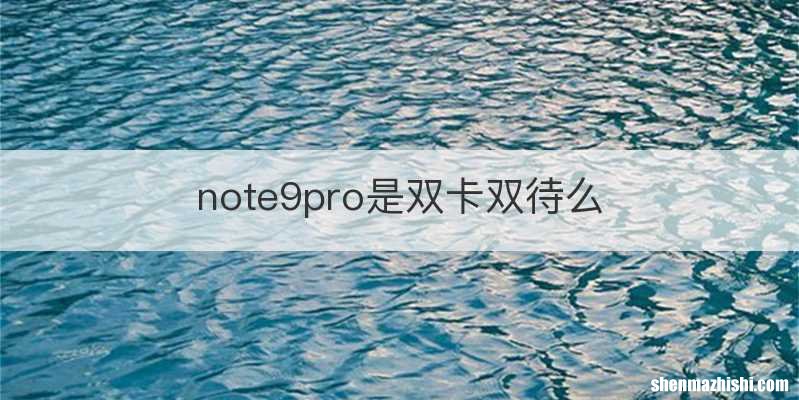 note9pro是双卡双待么