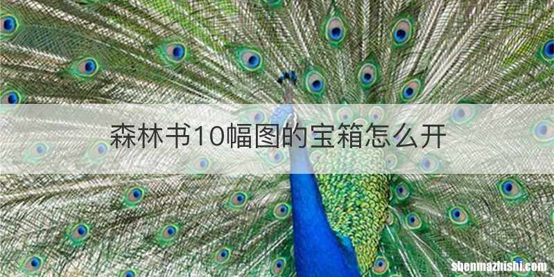 森林书10幅图的宝箱怎么开