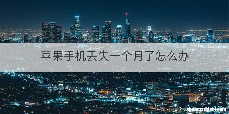 苹果手机丢失一个月了怎么办