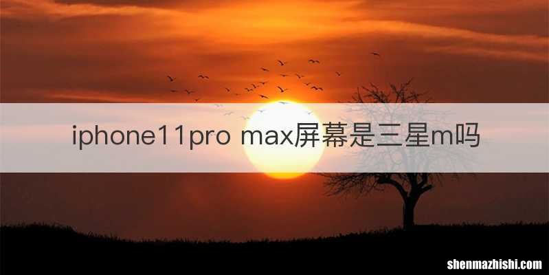 iphone11pro max屏幕是三星m吗