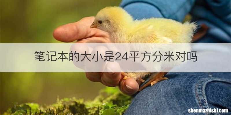 笔记本的大小是24平方分米对吗