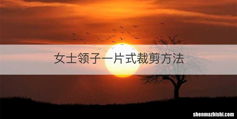 女士领子一片式裁剪方法