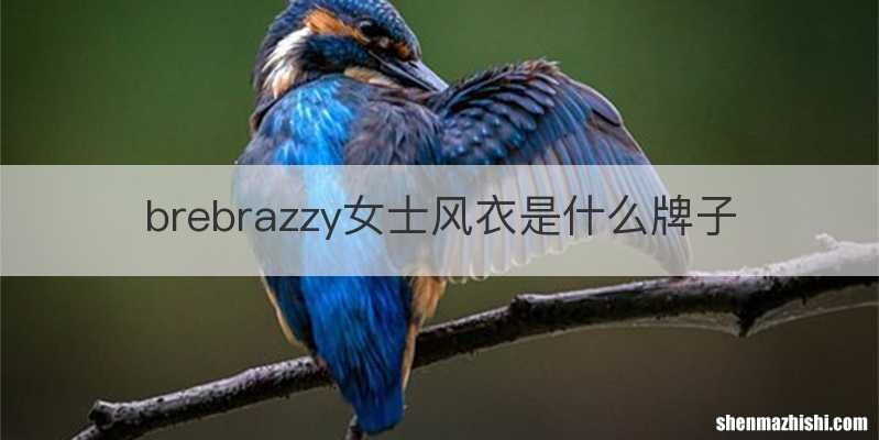 brebrazzy女士风衣是什么牌子