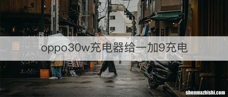 oppo30w充电器给一加9充电