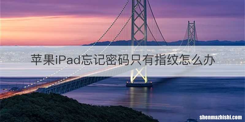苹果iPad忘记密码只有指纹怎么办