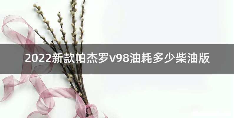 2022新款帕杰罗v98油耗多少柴油版