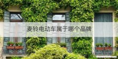 麦铃电动车属于哪个品牌
