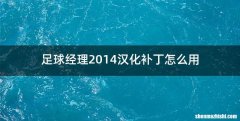 足球经理2014汉化补丁怎么用