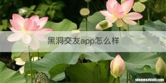 黑洞交友app怎么样