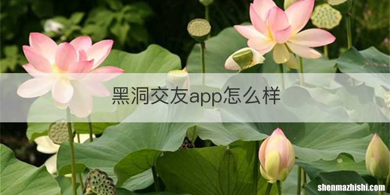 黑洞交友app怎么样